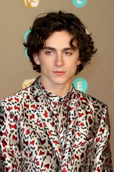 London Ηνωμενο Βασιλειο Φεβ 2019 Timothee Chalamet Παρευρίσκεται Στα Βραβεία — Φωτογραφία Αρχείου