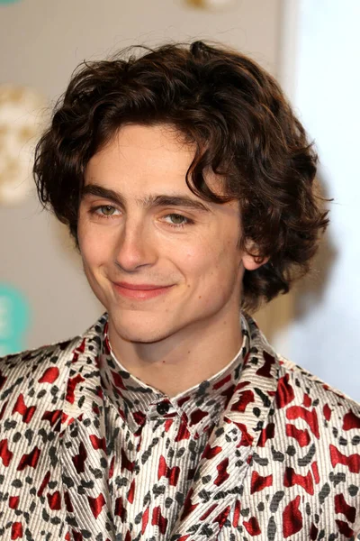 Londres Reino Unido Febrero 2019 Timothee Chalamet Asiste Los Premios — Foto de Stock