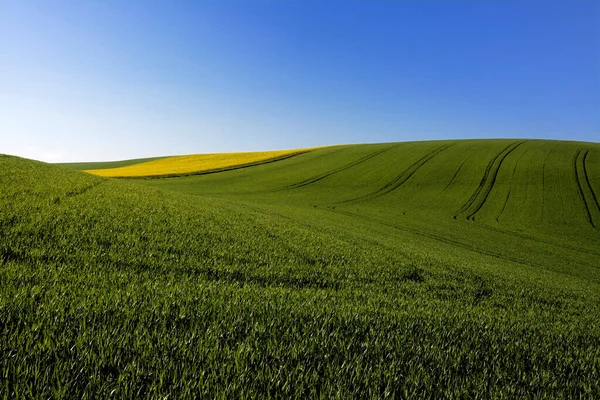 Paisaje Agrícola Auvernia Francia — Foto de Stock