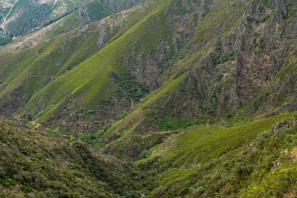 Una Montagna Accidentata Serra Freita Portogallo — Foto Stock