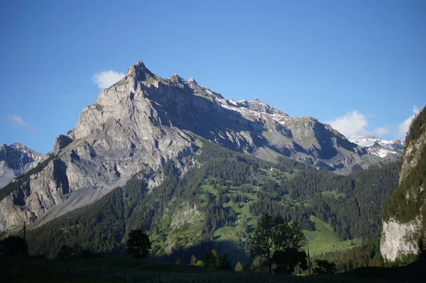 Krásný Snímek Přírodní Rezervace Pfyn Finges Švýcarsku — Stock fotografie