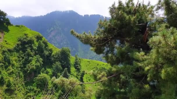 Güzel Dağ Manzarası — Stok video