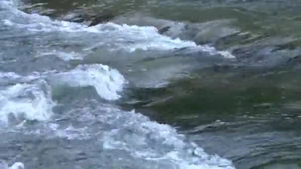 Een Stormachtige Bergrivier Voert Water Langs Rotsen — Stockvideo