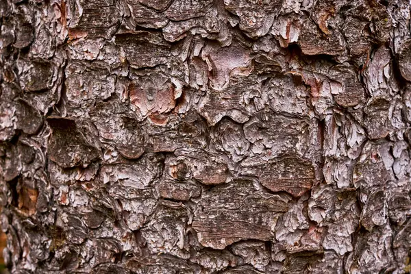 Koyu Kahverengi Doğal Dokunuşlu Bir Tuvalin Yakın Plan Çekimi Arka — Stok fotoğraf
