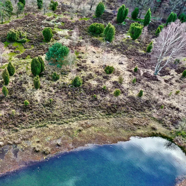 Una Vista Aérea Pequeño Lago Azul Brezal Pantano Con Brezo — Foto de Stock