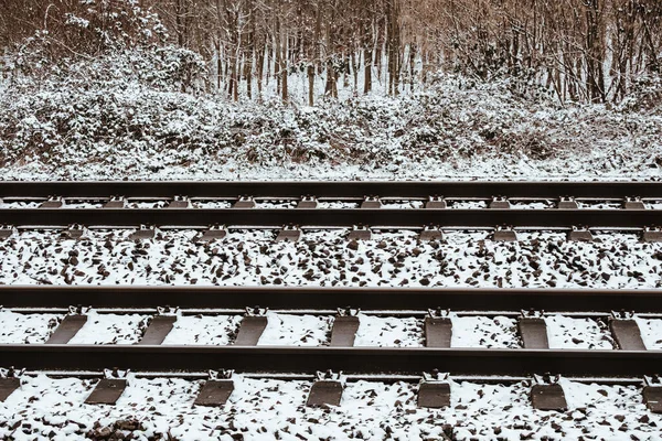 Rälsen Ett Tåg Täckt Snö Vintern — Stockfoto