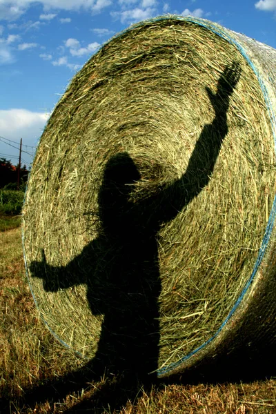 Bir Saman Yığınının Üzerindeki Korkuluğun Dikey Görüntüsü — Stok fotoğraf