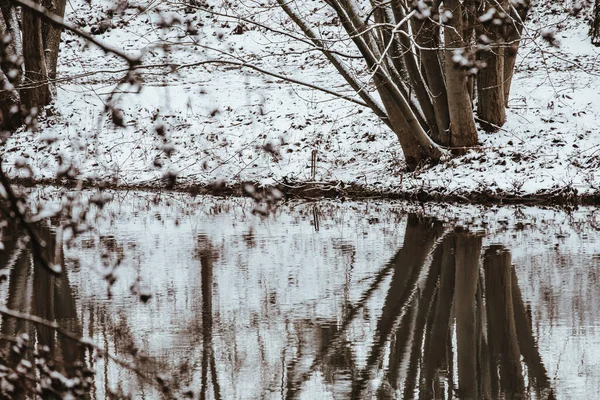 Die Reflexionen Der Bäume Einem See Einem Verschneiten Wintertag — Stockfoto