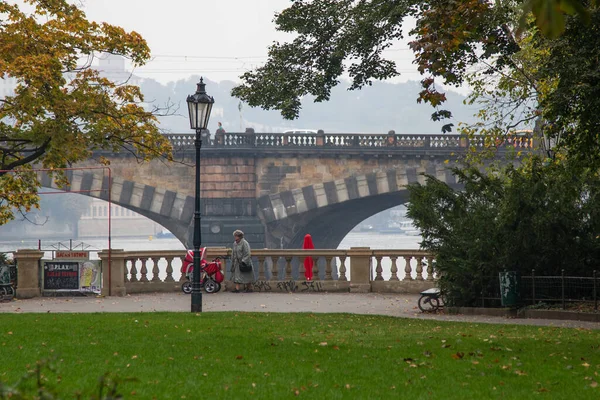 Czech Republic 2013年10月9日チェコ共和国プラハのヴルタヴァ銀行の公園からの風景 — ストック写真