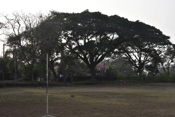 Egy Park Fákkal Városban Napközben — Stock Fotó