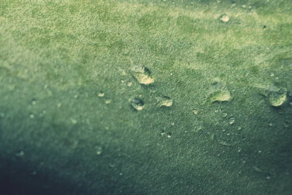 全框宏特写绿叶上的雨滴 为背景提供复制空间 — 图库照片