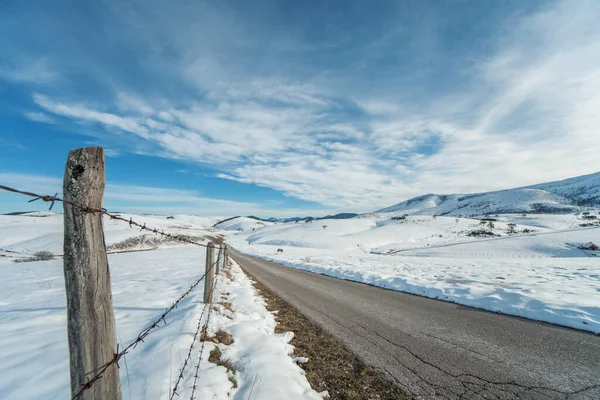 Tiro Close Estrada Coberta Neve Perto Uma Floresta Dia Inverno — Fotografia de Stock