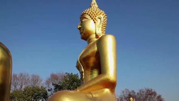 Statue Bouddha Doré Dans Temple Thaïlande — Video