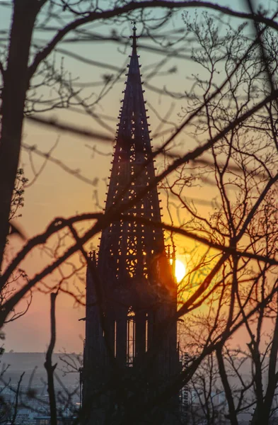 Scenic View Freiburger Munster Freiburg Germany Seen Tree Branches Sunset — Photo