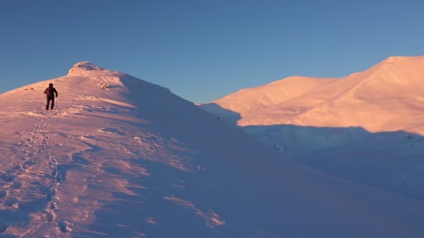 Joven Senderismo Cima Una Montaña Nevada Hermosa Puesta Sol Invierno — Vídeos de Stock