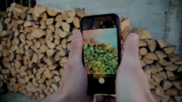 特写镜头 特写镜头一个人在高清用手机拍摄堆叠木木料的特写镜头 — 图库视频影像