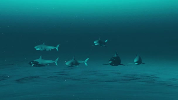 Une Animation Requins Blancs Nageant Sous Eau — Video