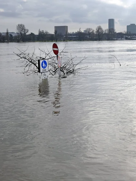 Vertical Shot Flooded Pedestrian Zone Cologne Germany Extreme Weather — Stock Photo, Image