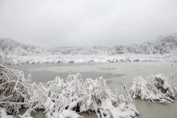 Snöig Frusen Sjö Dyster Dag Vintern — Stockfoto