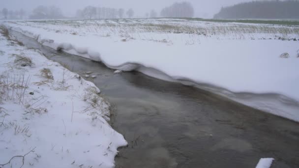 Winterlandschap Met Rivier Winter Besneeuwde Bomen — Stockvideo