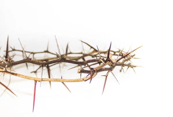 crown of thorns symbol of the christian religion