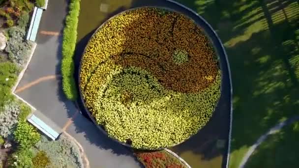 Uma Vista Aérea Das Flores Que Formam Símbolo Yin Yang — Vídeo de Stock