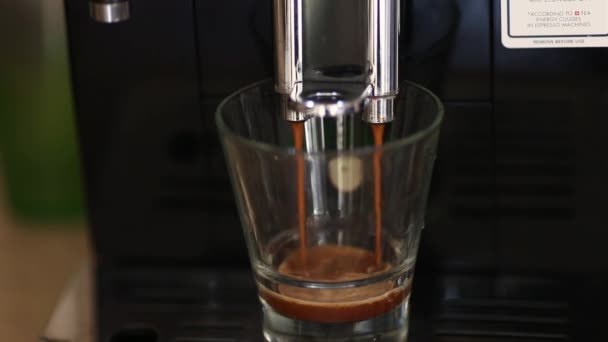 Kaffebryggare Häller Kopp Närbild — Stockvideo
