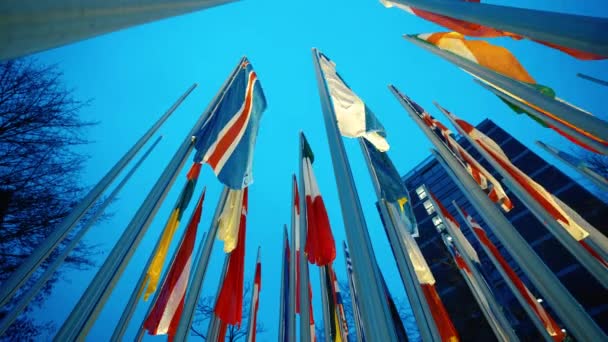 Flag Iceland Flies Night Sky Many Other National Flags Surround — Stock Video