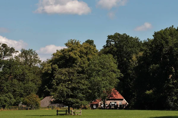 Paesaggio Verde Con Una Casa Circondata Alberi Vicino Diepenheim Twente — Foto Stock