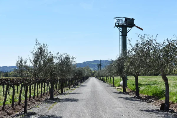 a tree-lined driveway with a piece of frost deterrent farm equipment in Napa, California