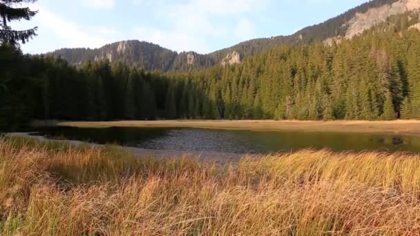 Prachtig Landschap Met Een Rivier Een Meer Achtergrond — Stockvideo