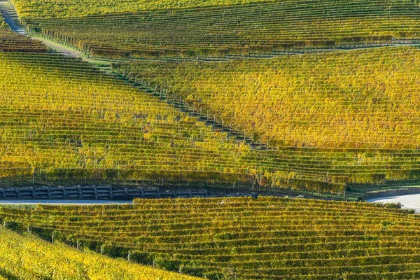 Langhe Region Mit Schönen Laubfärbungen Herbst Piemont Italien — Stockfoto