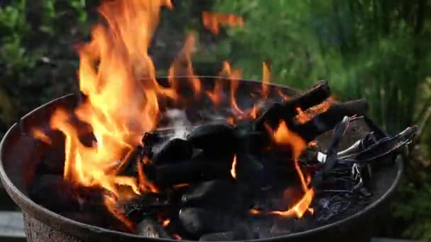 Fogueira Arder Churrasco Gás Livre Piquenique Fogueira Uma Floresta — Vídeo de Stock