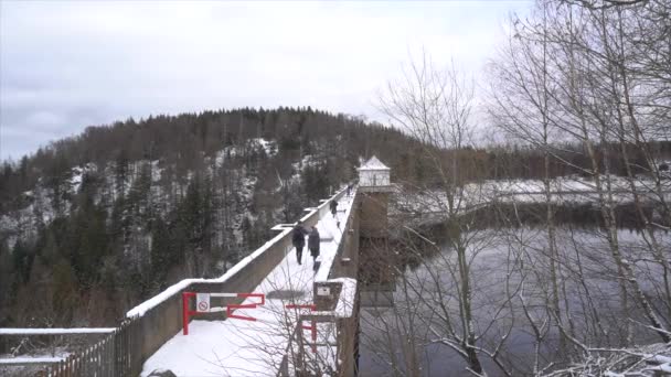Μια Όμορφη Χιονισμένη Μέρα Eckertalsperre Harz Γερμανία — Αρχείο Βίντεο