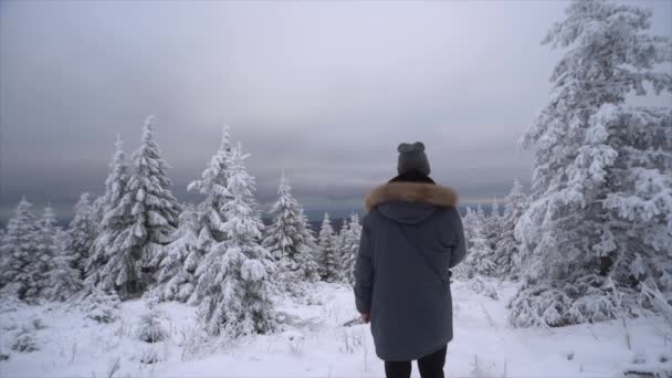 Baksida Kvinna Snöig Dag Brocken Harz Tyskland — Stockvideo