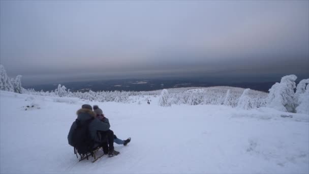 Ett Par Pulka Vintern Brocken Harz Tyskland — Stockvideo