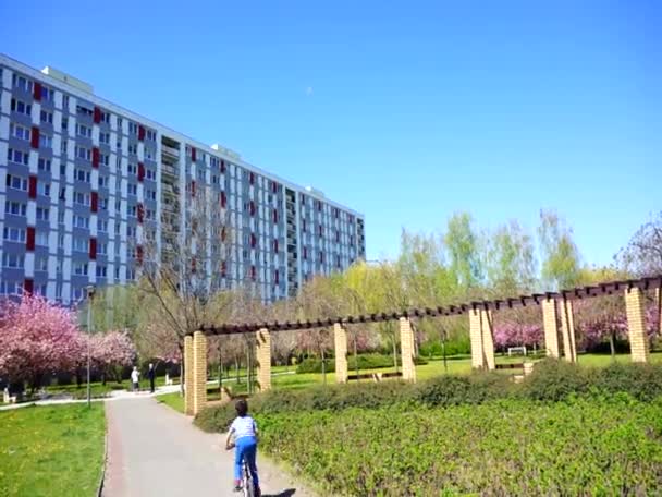 Rataje Parque Con Sendero Alto Edificio Apartamentos — Vídeos de Stock