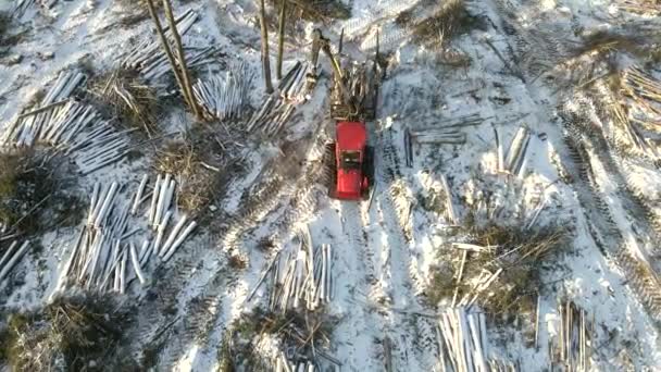 Widok Lotu Ptaka Procesu Wycinania Drzew Lesie Zimą Wycinanie Lasów — Wideo stockowe