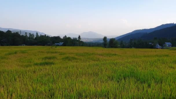 Vista Campo Agrícola Paisagem Montanhosa — Vídeo de Stock