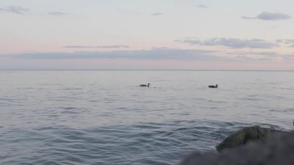 Utsikt Över Havet Och Stranden — Stockvideo