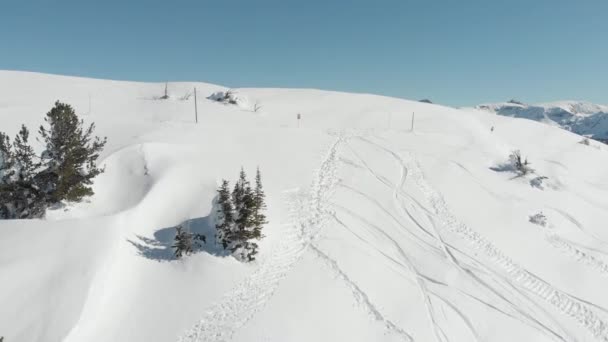 Prachtig Winterlandschap Met Besneeuwde Bomen — Stockvideo