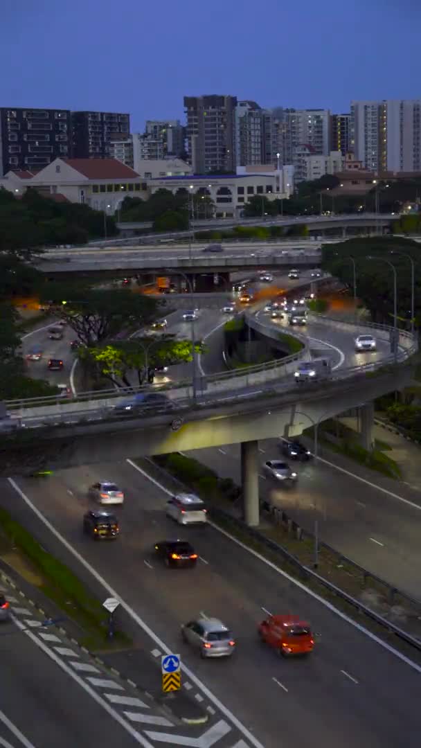 Hauptverkehrszeit Auf Dem Expressway Toa Payoh Singapur Vertikaler Video Zeitraffer — Stockvideo