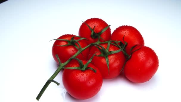 Tomates Rojos Frescos Sobre Fondo Blanco — Vídeos de Stock
