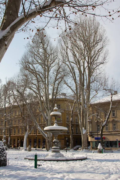 Zagreb Croatia Φεβρουάριος 2012 Βρύση Στο Πάρκο Zrinjevac Χειμώνα Στο — Φωτογραφία Αρχείου