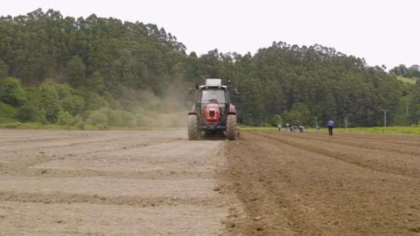 Szeroka Plantacja Fasoli Asturii Hiszpanii Zrównoważone Rolnictwo Wsi Życie Farmera — Wideo stockowe