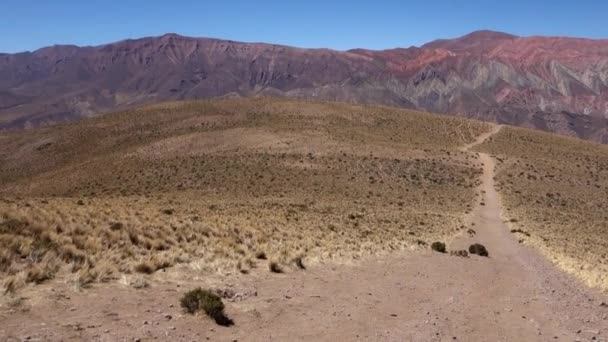 Prachtig Landschap Van Negev Woestijn Het Noorden Van Israël — Stockvideo