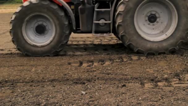 Bred Bönplantage Asturien Spanien Hållbart Jordbruk Byn Bondeliv Bymiljö Hållbara — Stockvideo