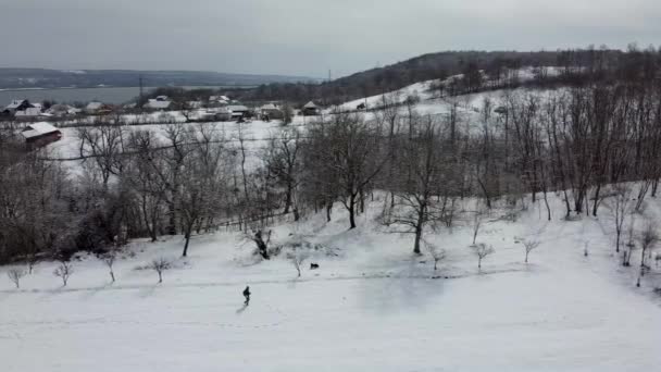 Paisagem Inverno Com Árvores Cobertas Neve — Vídeo de Stock