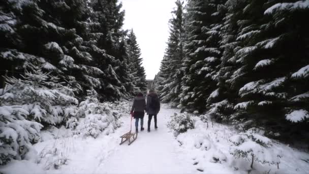 在寒冷的冬日里 美丽的森林风景和被雪覆盖着的冷杉树 4K年在德国哈茨的Brocken徒步旅行 — 图库视频影像
