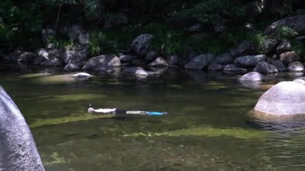 Man Snorkling Och Dykning Det Klara Vattnet Mossman Ravin Queensland — Stockvideo